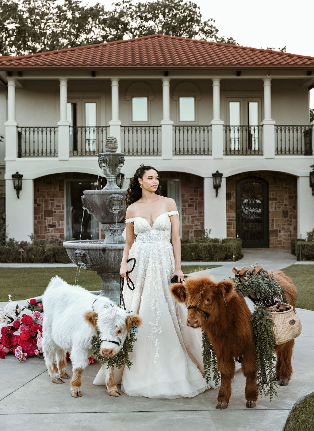 Bride posing with a Highland cow at an outdoor wedding venue